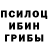 Галлюциногенные грибы ЛСД KucKa_DpakoHa