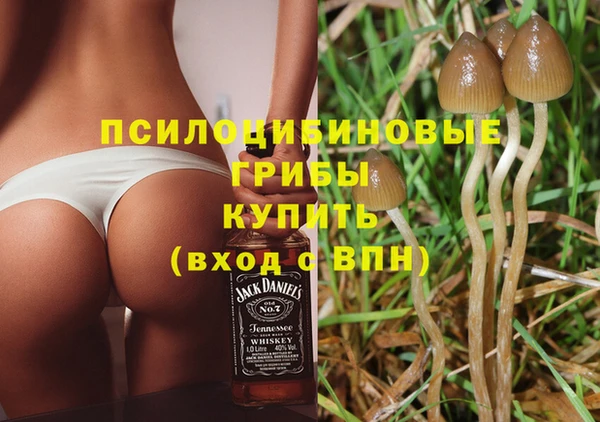 бошки Абдулино