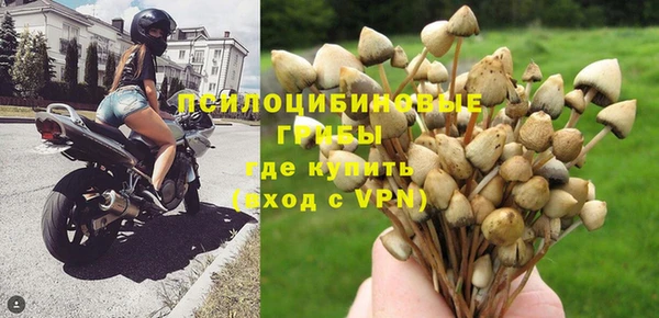 амф Абинск