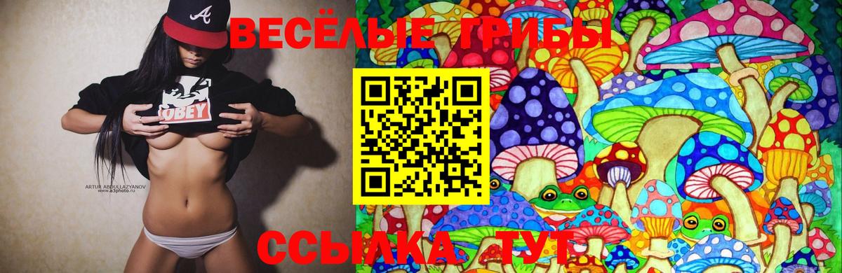 Галлюциногенные грибы прущие грибы Кисловодск