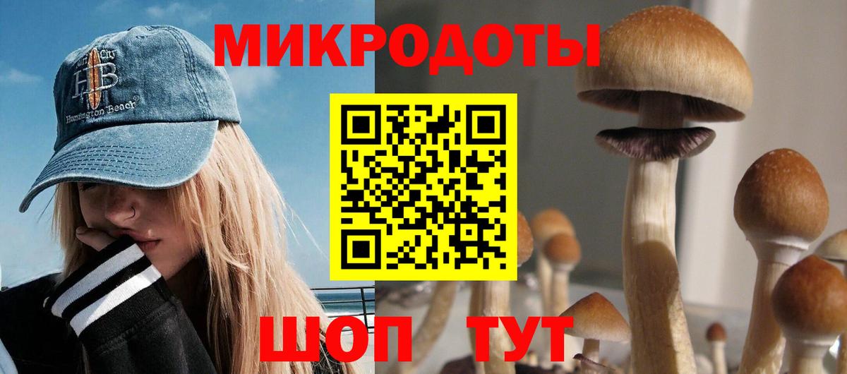 Псилоцибиновые грибы MAGIC MUSHROOMS  Вход с VPN  Кисловодск 